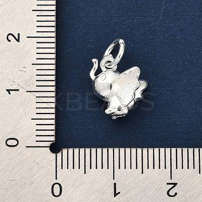925 Sterling Silver Pendants LS-FIND-Z069-02S-1