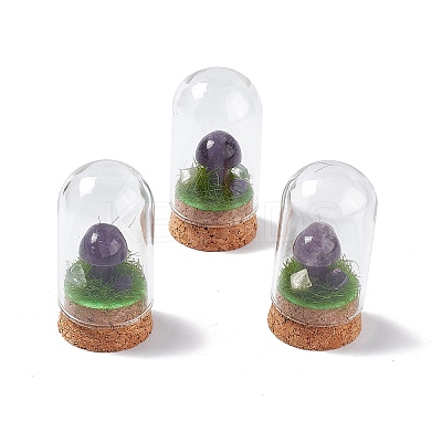 Natural Mixed Stone Mushroom Display Decoration with Glass Dome Cloche Cover G-E588-03-1