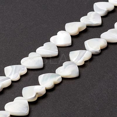 Natural Trochid Shell/Trochus Shell Beads SSHEL-O001-27C-1