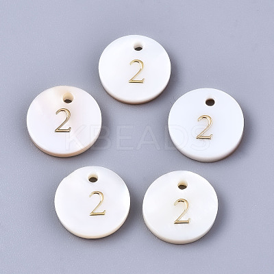 Natural Freshwater Shell Charms SHEL-Q023-02-1