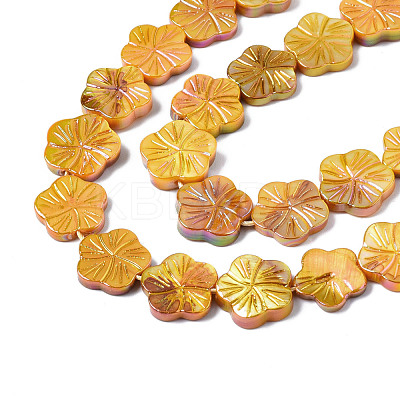 Natural Freshwater Shell Beads Strands SHEL-Q025-002E-1