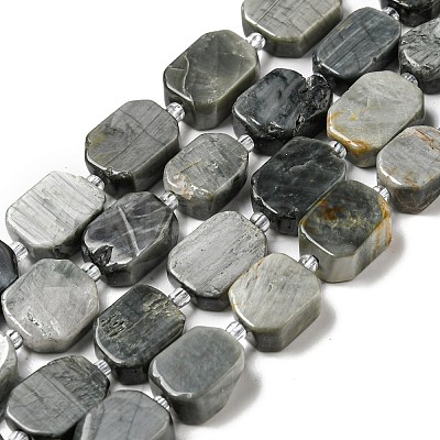 Natural Eagle Eye Stone Beads Strands G-G072-B01-01-1