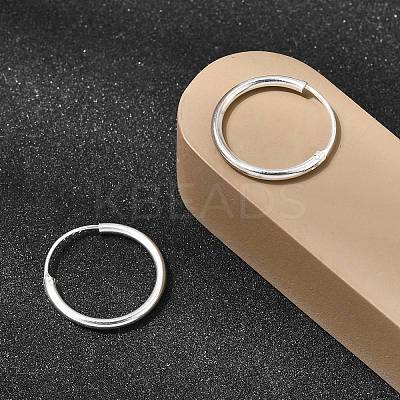 Brass Hoop Earrings EJEW-G474-01S-02-1