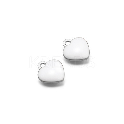 Stainless Steel Charms PW-WG0E535-10-1