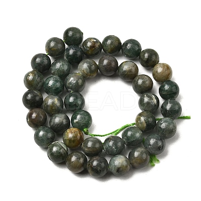 Natural Green Apatite Beads Strands G-K350-C04-10mm-1