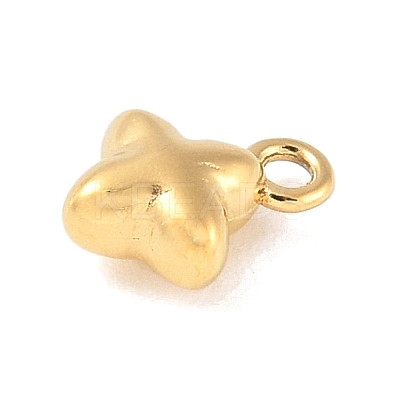 304 Stainless Steel Charms STAS-Q351-09G-1