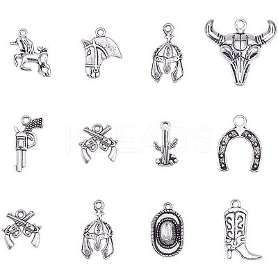 Western Charms Tibetan Style Alloy Pendants TIBEP-PH0001-05AS-1