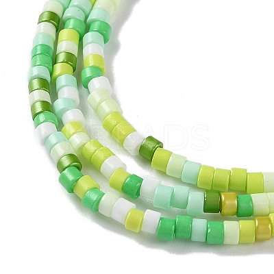 Handmade Lampwork Beads Strands LAMP-L078-008A-1