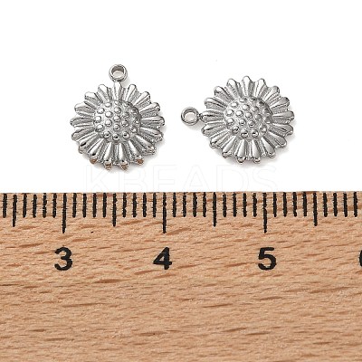 304 Stainless Steel Charms LS-STAS-P440-04P-1