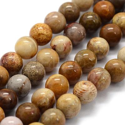 Natural Fossil Coral Beads Strands G-G763-12-6mm-1