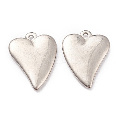 Non-Tarnish 304 Stainless Steel Pendants STAS-G244-23P-1