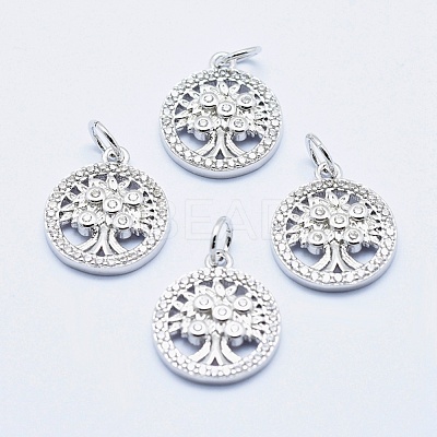 Brass Micro Pave Clear Cubic Zirconia Charms ZIRC-J040-10P-NR-1