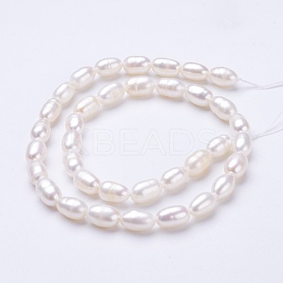 Natural Cultured Freshwater Pearl Beads Strands PEAR-P002-23-1
