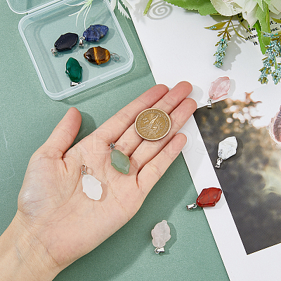 10Pcs 10 Styles Mixed Gemstone Pendants G-HY0001-46-1