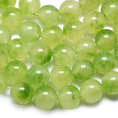 Natural Malaysia Jade Beads Strands G-L645-C01-14mm-31-1
