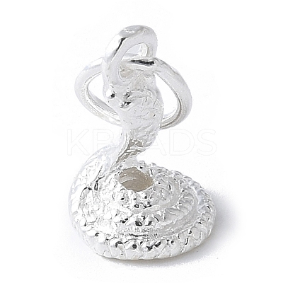 925 Sterling Silver 3D Chinese Zodiac Charms STER-P066-01S-06-1