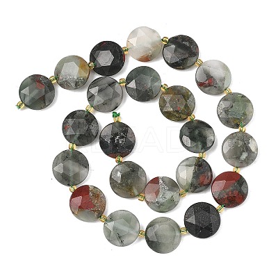 Natural Bloodstone Beads Strands G-A292-A09-01-1