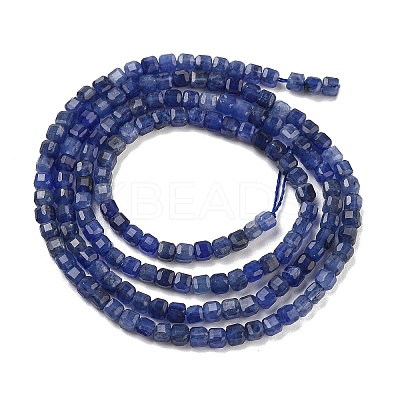 Natural Sodalite Beads Strands G-H042-B08-01-1