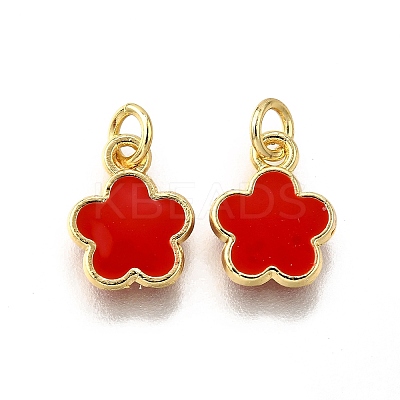 Brass Enamel Charms KK-C106-03G-1