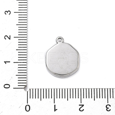 304 Stainless Steel Pendants STAS-K291-12P-03-1