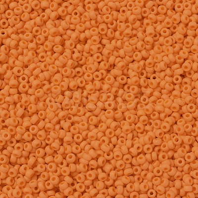 MIYUKI Round Rocailles Beads X-SEED-G007-RR0405F-1