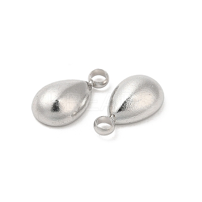 Non-Tarnish 304 Stainless Steel Charms STAS-H214-09P-1
