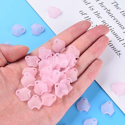 Transparent Acrylic Beads LS-X-MACR-S373-106-D05-1