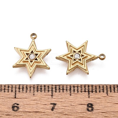 304 Stainless Steel Micro Pave Cubic Zirconia Charms STAS-N115-53G-1