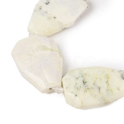 Natural White African Opal Beads Strands G-P548-B09-01-1