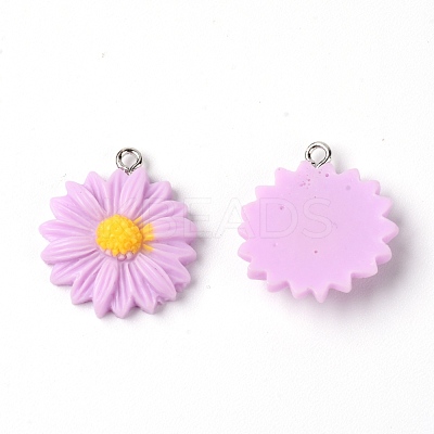 Resin Pendants RESI-WH0014-39A-1