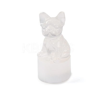 Natural Selenite Figurines DJEW-Q006-01B-1