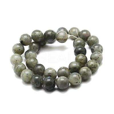 Natural Labradorite Bead Strands G-P256-01-10mm-1