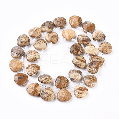 Natural Picture Jasper Beads Strands G-G821-04A-1