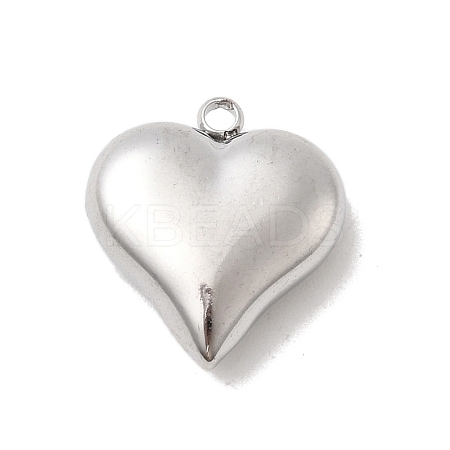 304 Stainless Steel Pendants STAS-B113-04C-P-1