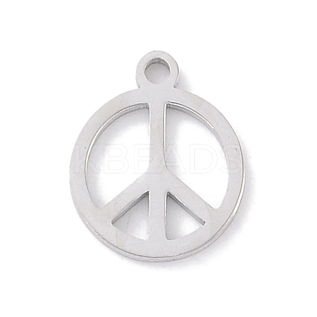 Non-Tarnish 304 Stainless Steel Charms STAS-K286-01B-P-1