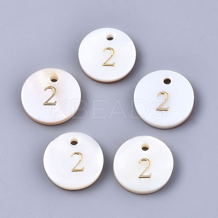 Natural Freshwater Shell Charms SHEL-Q023-02-1