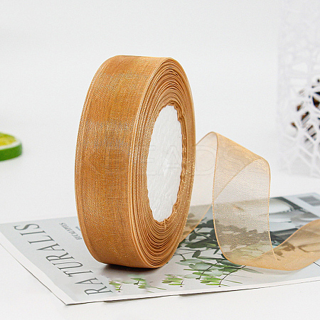 Polyester Organza Ribbon FABR-PW0001-003A-18-1