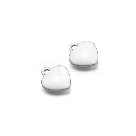 Stainless Steel Charms PW-WG0E535-10-1