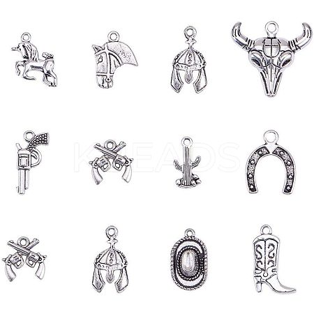 Western Charms Tibetan Style Alloy Pendants TIBEP-PH0001-05AS-1