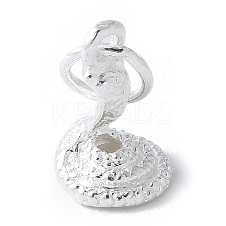 925 Sterling Silver 3D Chinese Zodiac Charms STER-P066-01S-06-1