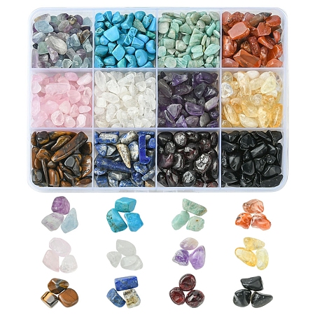 240G 12 Styles Natural Mixed Gemstone Chip Beads G-FS0005-64-1