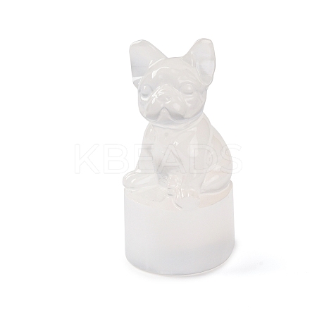 Natural Selenite Figurines DJEW-Q006-01B-1