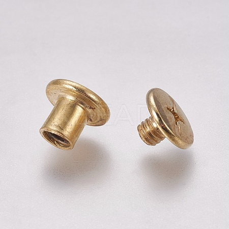 Iron Screw Rivets IFIN-WH0051-09A-G-1
