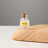 Mini Natural Rose Quartz Chips Bottles Sets G-PW0007-139B-1