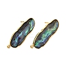 304 Stainless Steel Pave Natural Paua Shell Stud Earring Findings STAS-Z125-02G-2