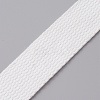 Polyester Ribbon OCOR-WH0073-46G-1