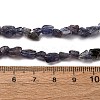 Natural Iolite/Cordierite/Dichroite Beads Strands G-I389-A34-01B-5