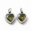 304 Stainless Steel Pendants STAS-D189-06P-04-2