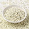 MIYUKI Round Rocailles Beads X-SEED-G008-RR2021-2