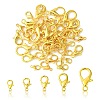 50Pcs 5 Styles Zinc Alloy Lobster Claw Clasps FIND-YW0003-96G-1